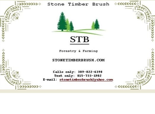 Avatar for Stone Timber Brush